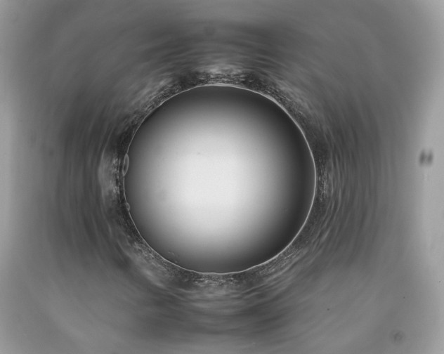 X0000092261346200709141200