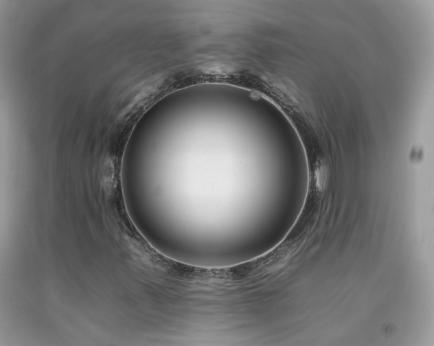 X0000092261347200709141200