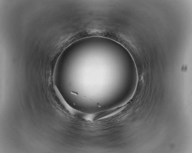 X0000092261348200709141200