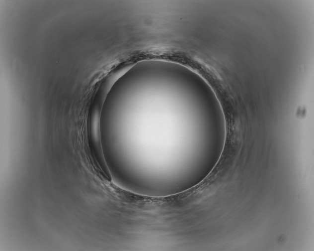 X0000092261349200709141200