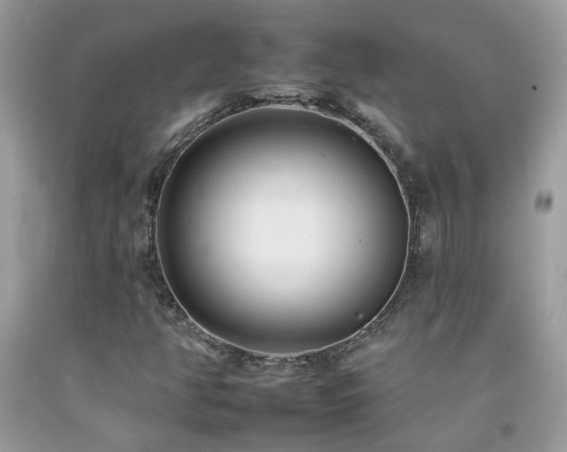 X0000092261350200709141200