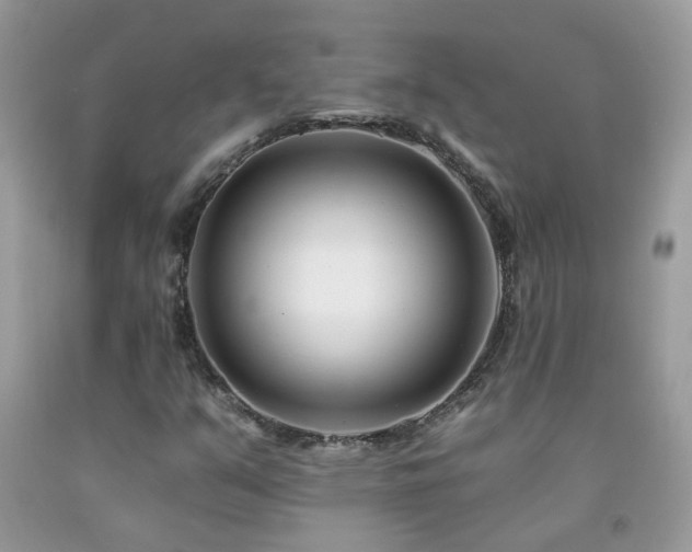 X0000092261351200709141200