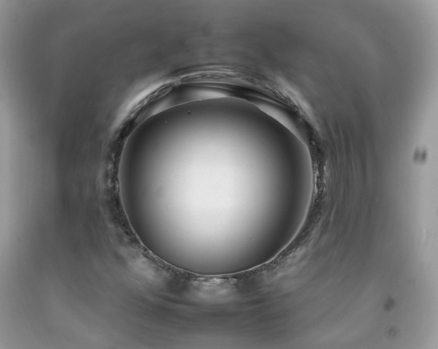 X0000092261352200709141200