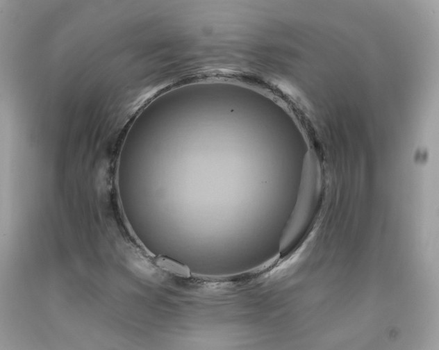 X0000092261353200709141200