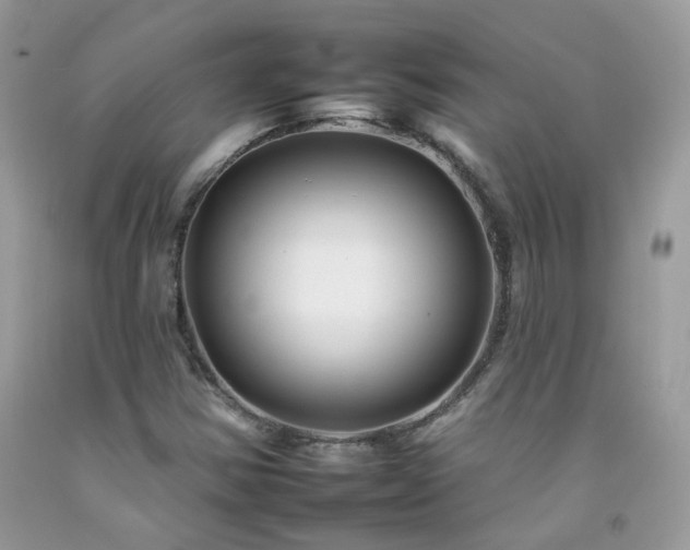 X0000092261354200709141200