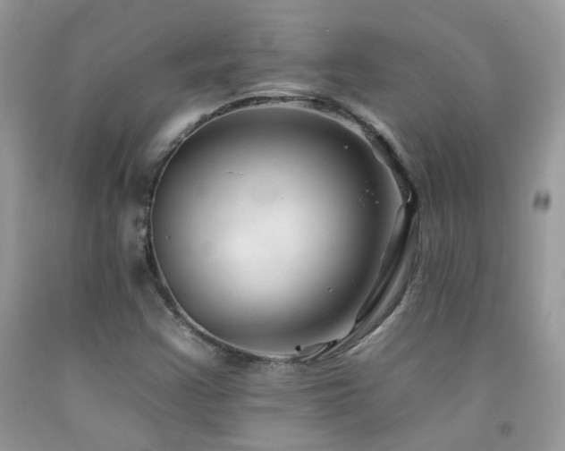 X0000092261355200709141200