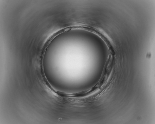 X0000092261356200709141200