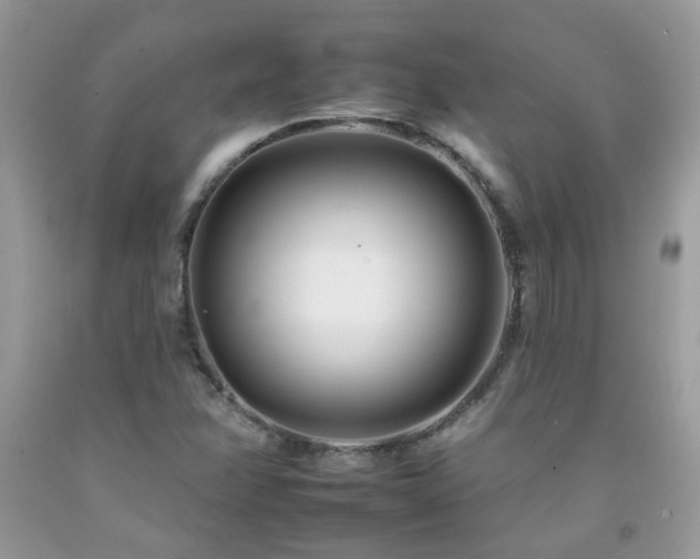 X0000092261358200709141200