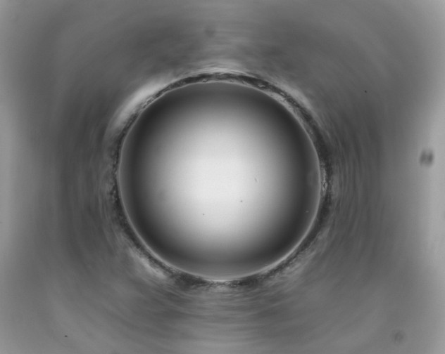 X0000092261359200709141200