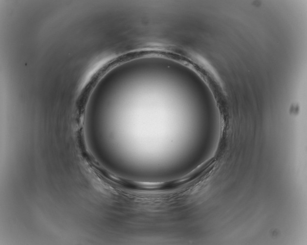 X0000092261360200709141200