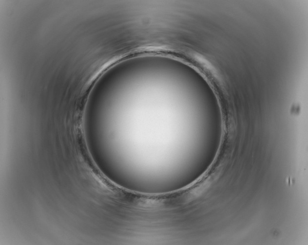 X0000092261361200709141200