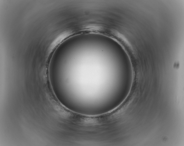 X0000092261362200709141200