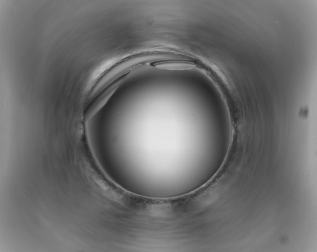 X0000092261363200709141200
