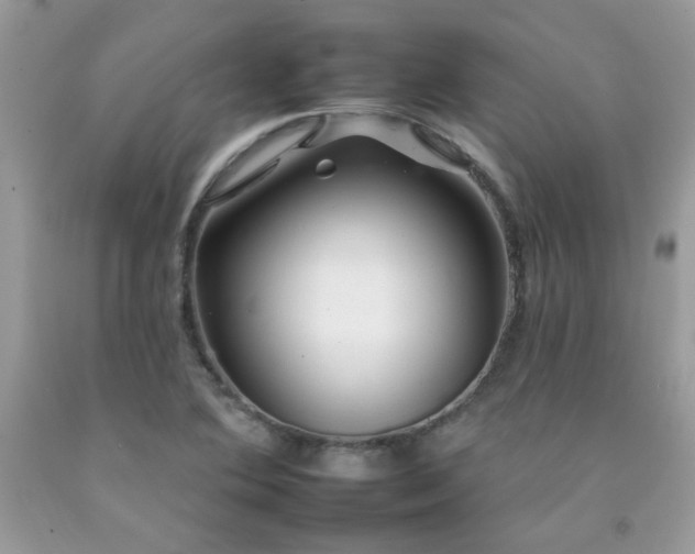 X0000092261364200709141200