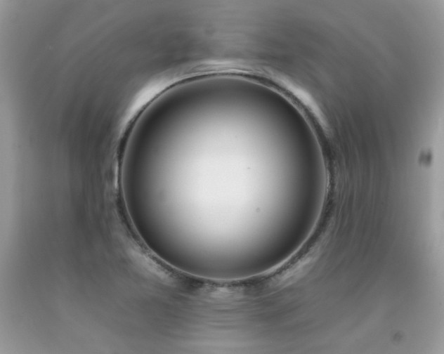 X0000092261365200709141200