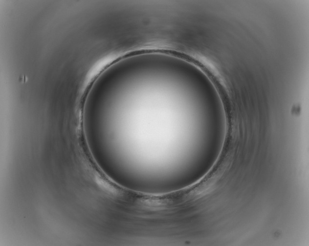 X0000092261366200709141200