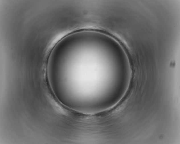 X0000092261367200709141200