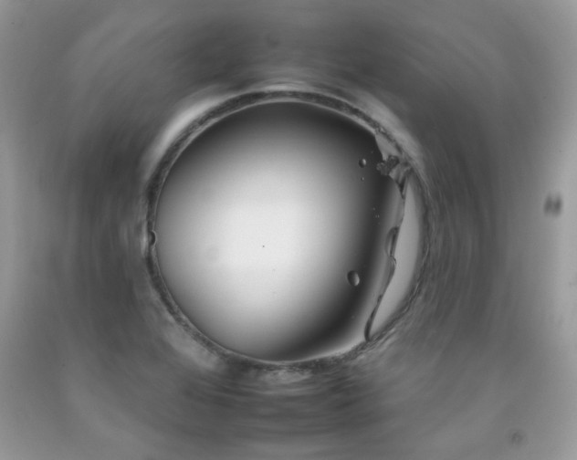 X0000092261368200709141200