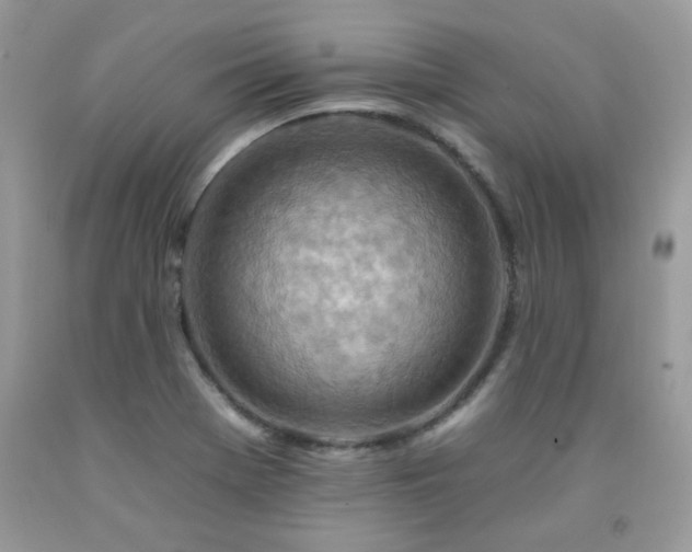 X0000092261369200709141200