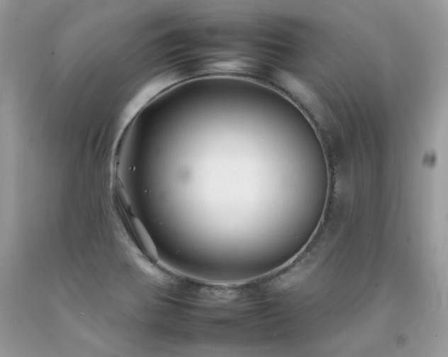 X0000092261370200709141200