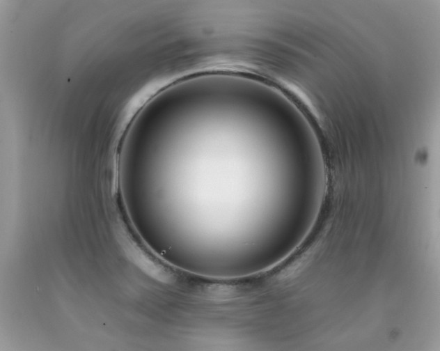 X0000092261371200709141200