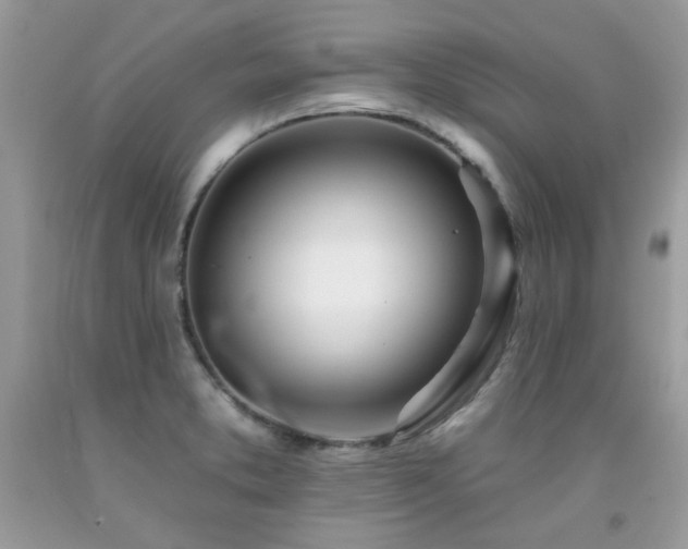 X0000092261373200709141200