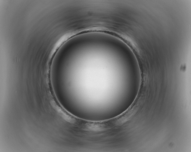 X0000092261374200709141200