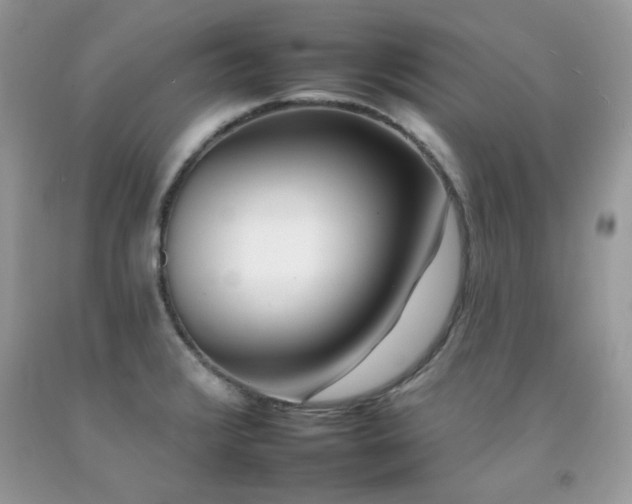 X0000092261376200709141200