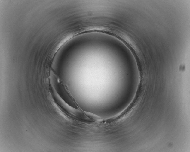 X0000092261377200709141200