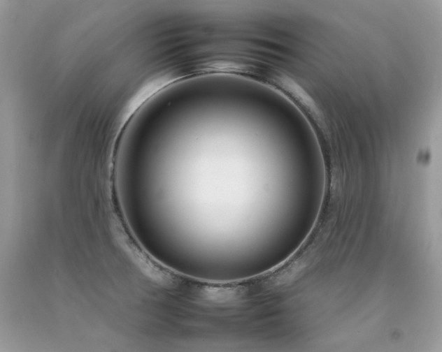 X0000092261378200709141200