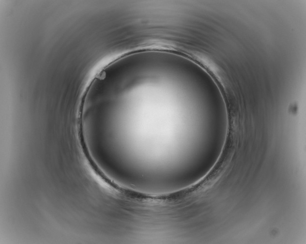 X0000092261379200709141200
