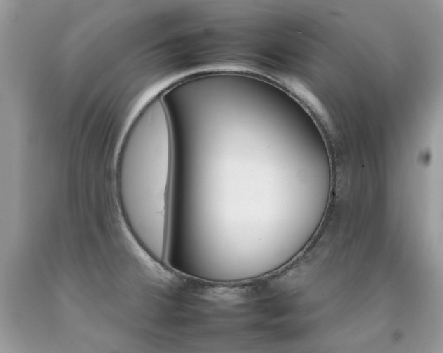 X0000092261380200709141200