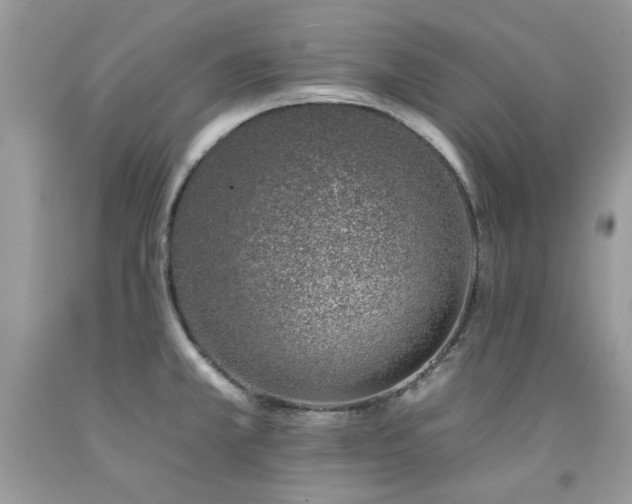 X0000092261381200709141200