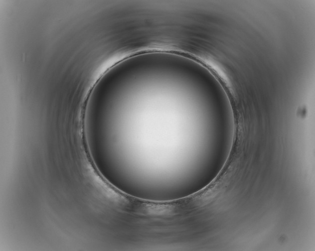 X0000092261382200709141200