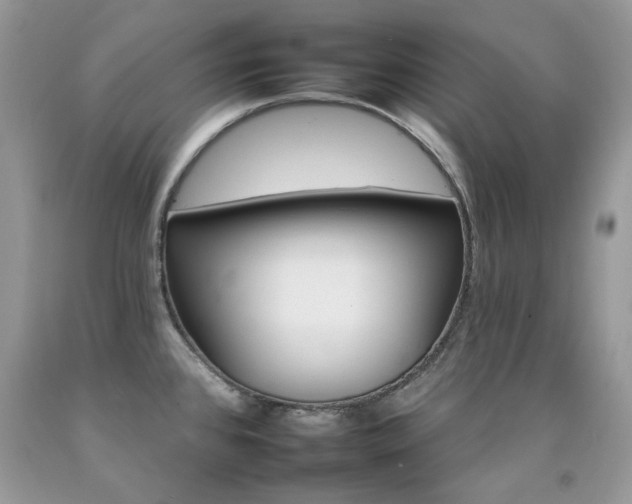 X0000092261384200709141200