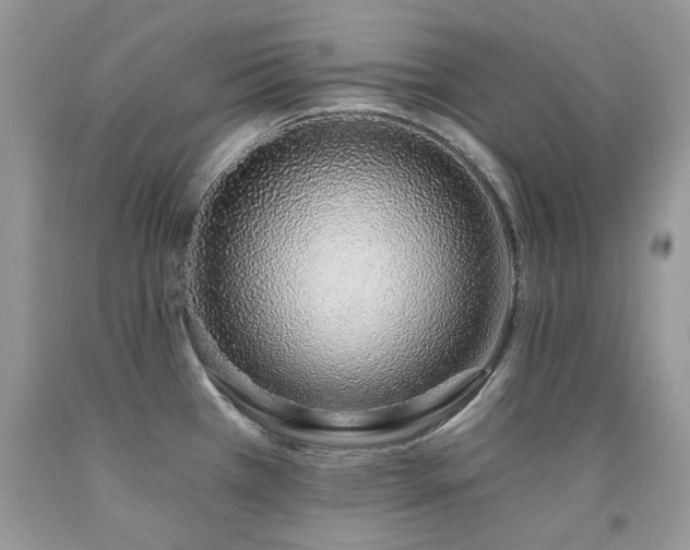 X0000092261385200709141200