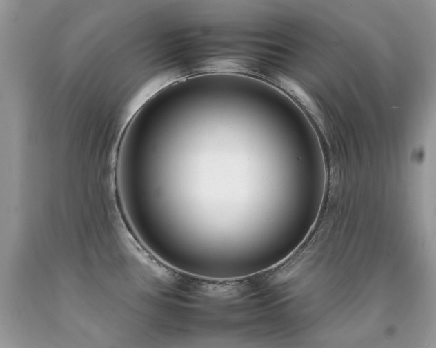 X0000092261386200709141200