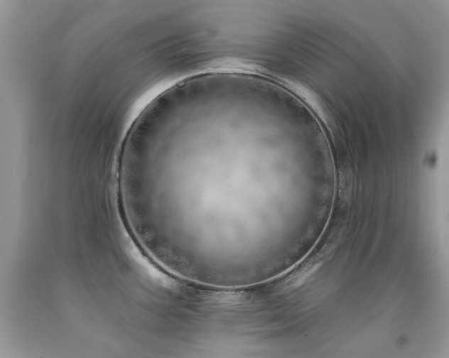 X0000092261387200709141200