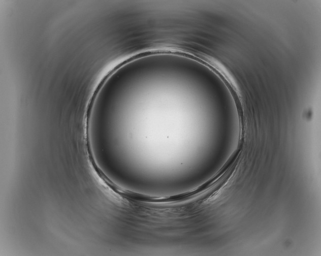 X0000092261388200709141200