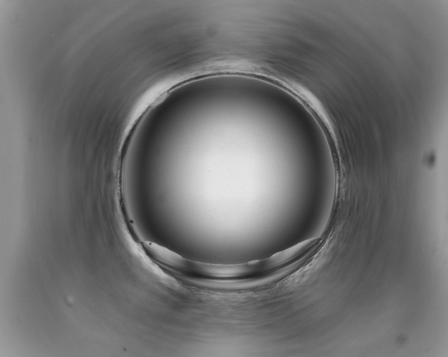X0000092261389200709141200