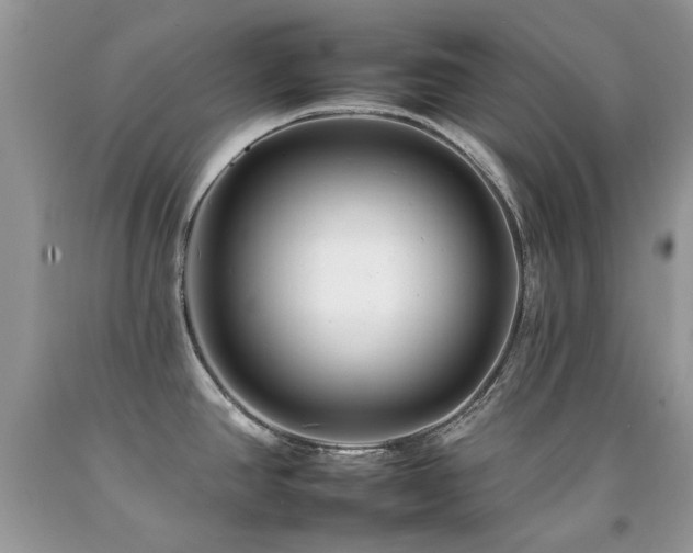 X0000092261390200709141200