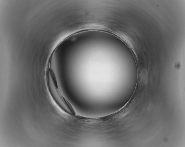 X0000092261391200709141200