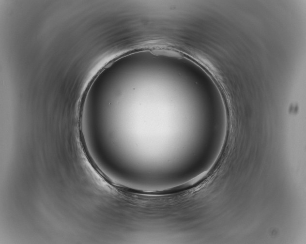 X0000092261392200709141200