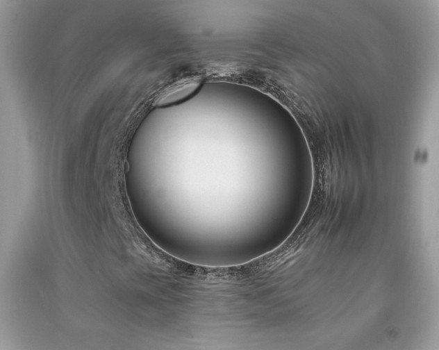 X0000092261393200709141159