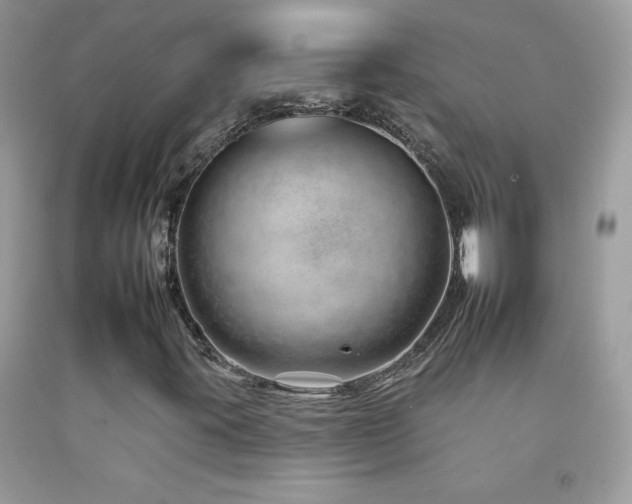X0000092261395200709141159