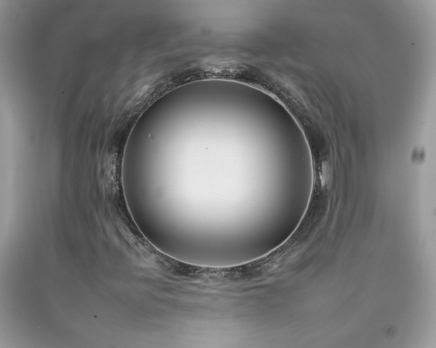 X0000092261396200709141159
