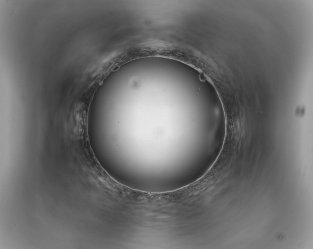 X0000092261397200709141159