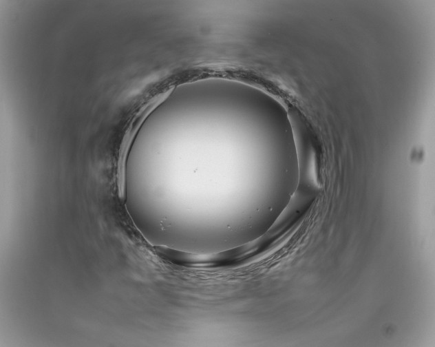 X0000092261398200709141159