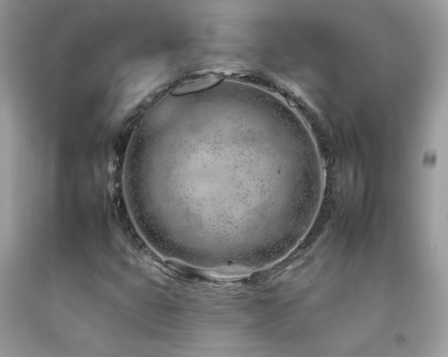 X0000092261399200709141159