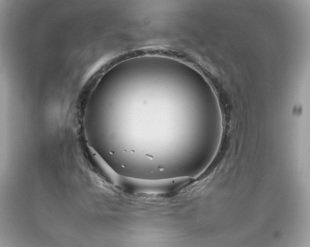 X0000092261400200709141159